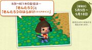 Kintaro Wig & Kintaro Apron CF DLC Promo JP.jpg