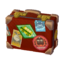 Rover Suitcase NL Model.png