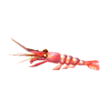 Sweet Shrimp NL Model.png