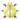 Gold Moonbug PC Icon.png