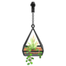 hanging terrarium