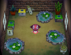 Wart Jr's house interior in Animal Crossing