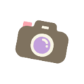Island Tour Creator - Photo Op Icon.png