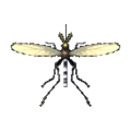 Mosquito NL Model.png