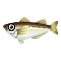 Sailfin Sandfish PC Icon.png