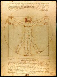 Vitruvian Man.jpg