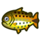 Dorado NH Icon.png
