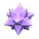 Nova Light's Purple variant