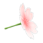 Cherry-Blossom Umbrella