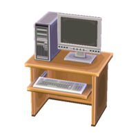 Computer