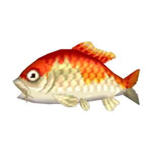 Koi CF Model.png