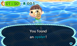 NL Amateurs' Free-Diving Tour Catch.png