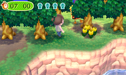 NL Easy Hide-and-Seek Tour.png